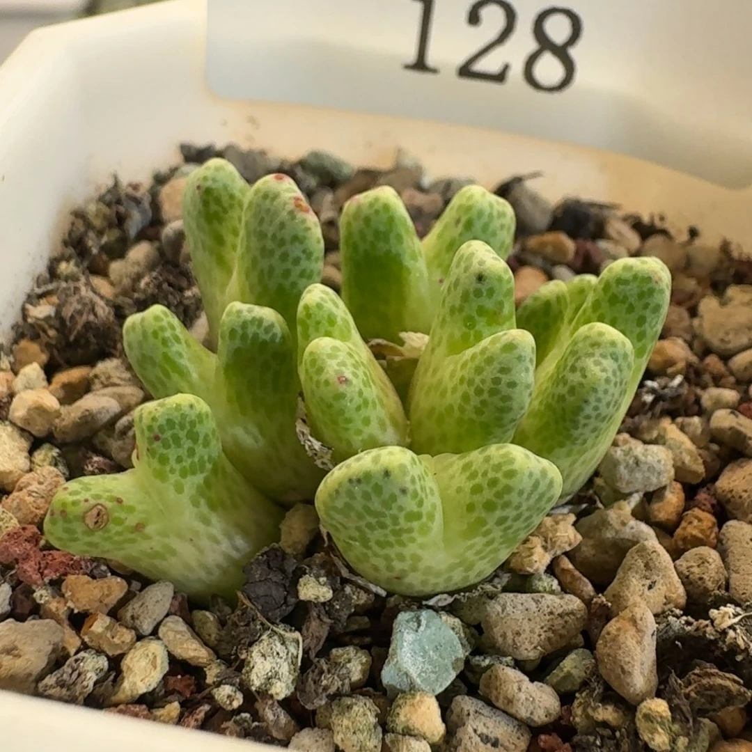 128。