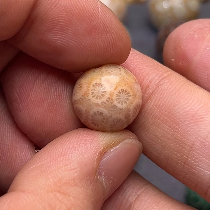 玛瑙/玉髓未镶嵌珠子硅化玉