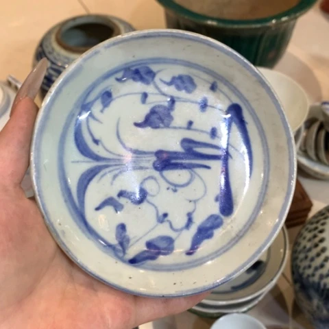 青瓷家****羊