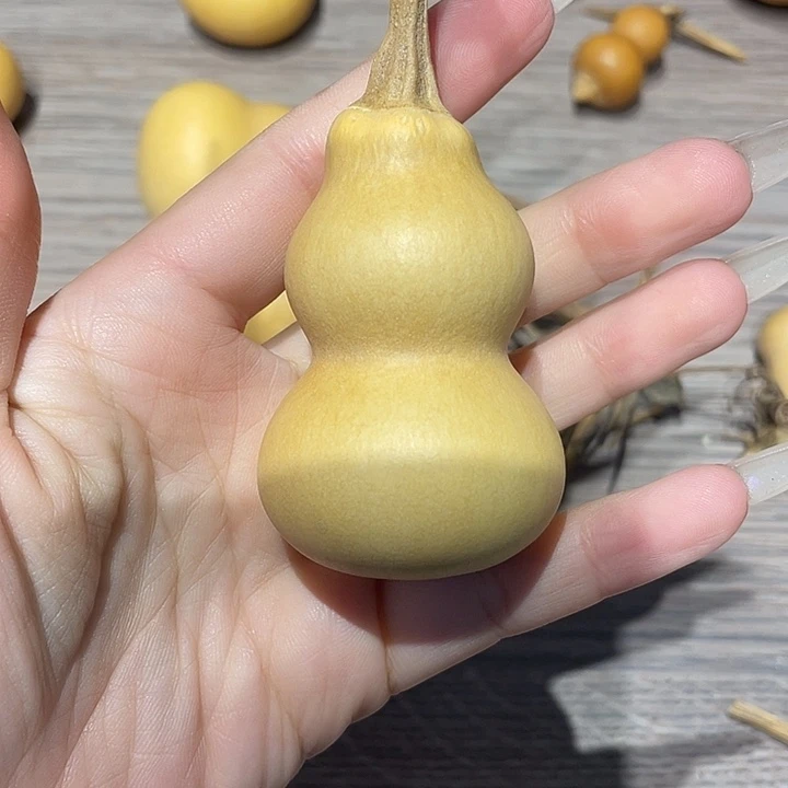 鎏***夏粗嘴葫芦粗嘴葫芦