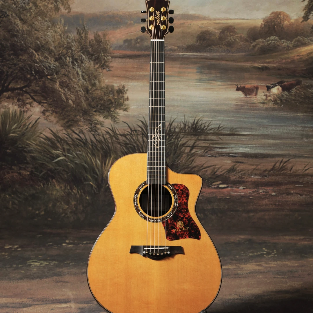 朱丽叶吉他电箱吉他X-15