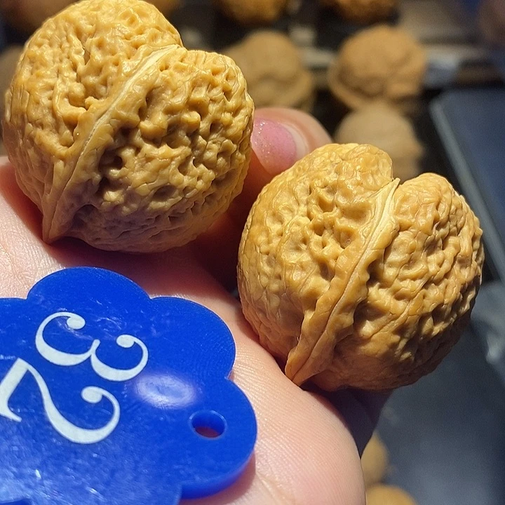 核桃蜜桃爱心尺寸33