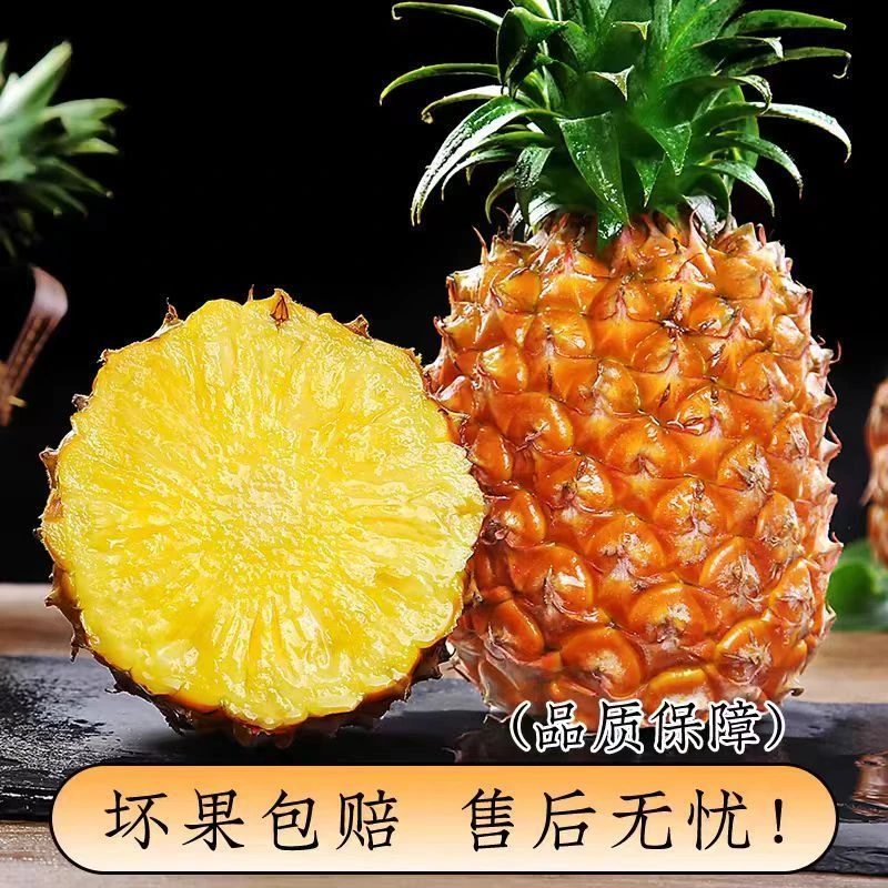 云南超甜牛奶凤梨树上熟削皮即食新鲜水果坏果包赔