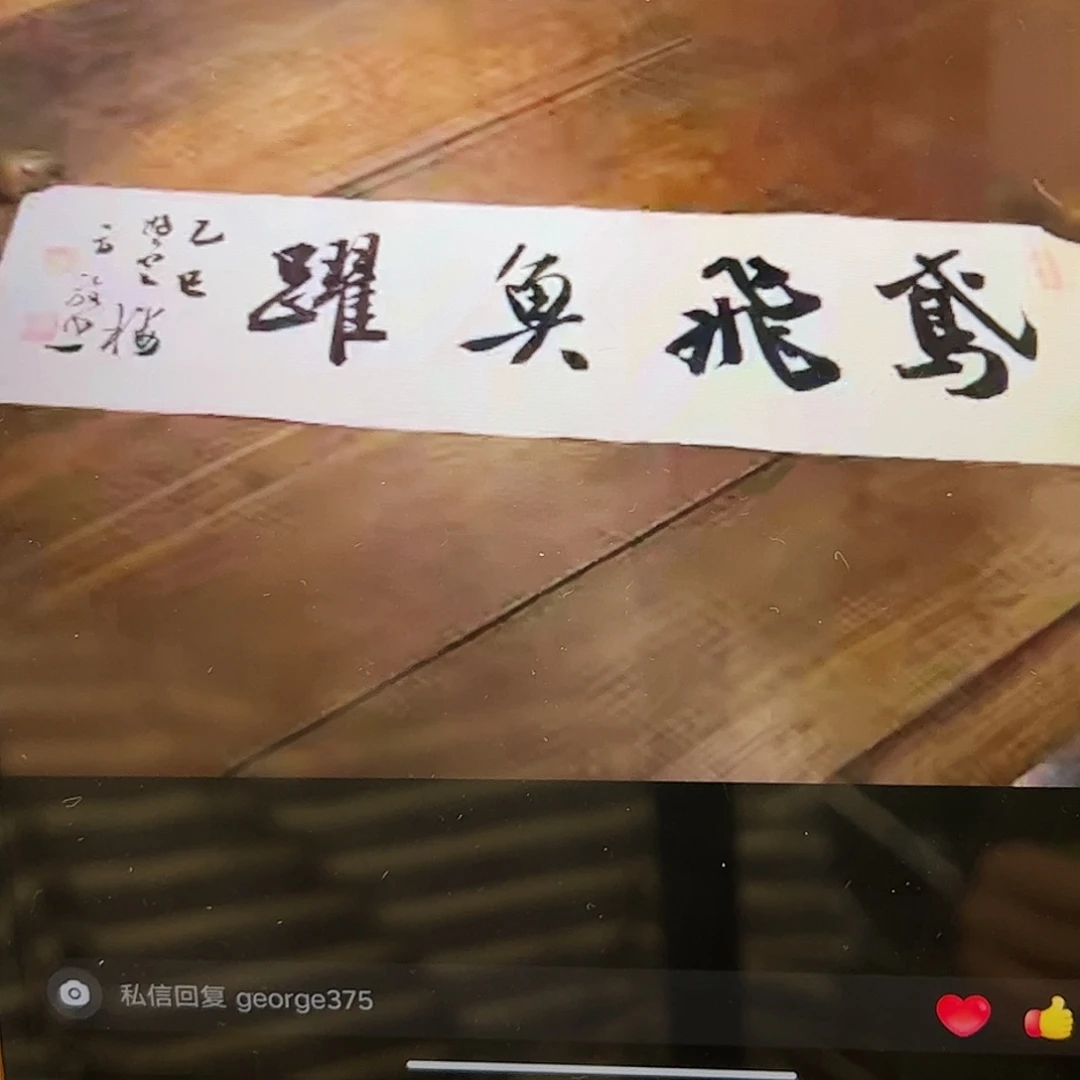 g***5纸本（a19415）书法 书画3