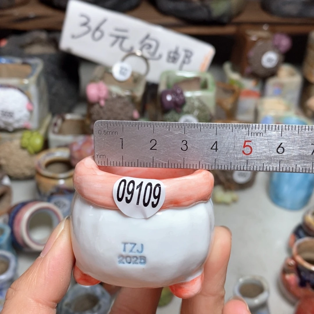 拍3送一个小礼物
