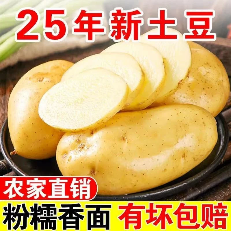 【当天现挖】黄皮黄心土豆新鲜现挖马铃薯洋芋应季新鲜蔬菜斤