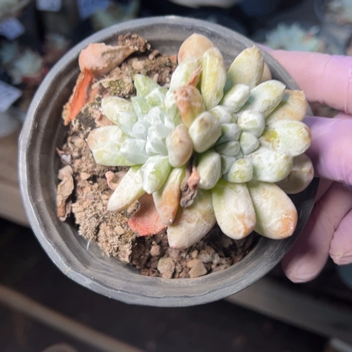 489哈哈哈哈哈哈哈哈