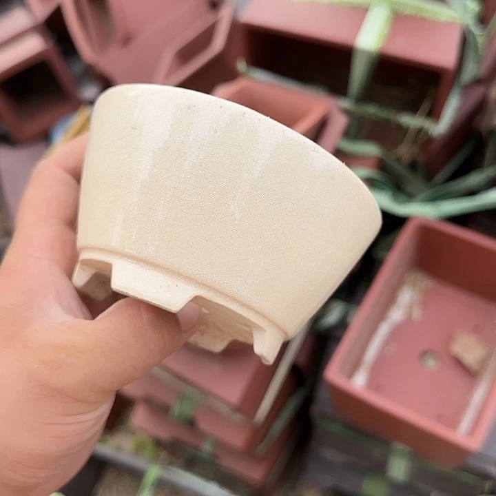 不用来咯哦啦啊嘛你也不要