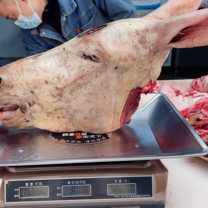 【闪购商品】冷冻保存30天包装河北省