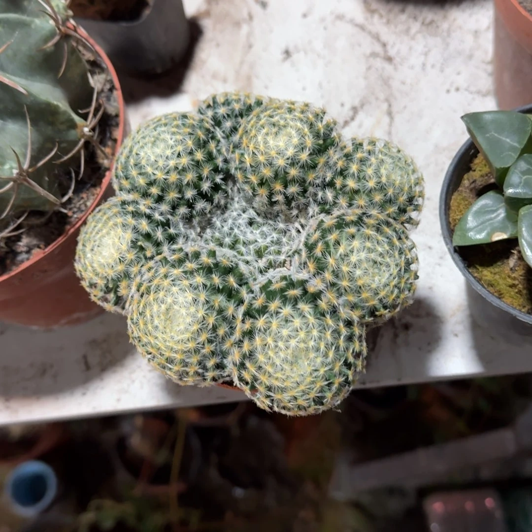 氵***ggh可口可乐了可口可乐