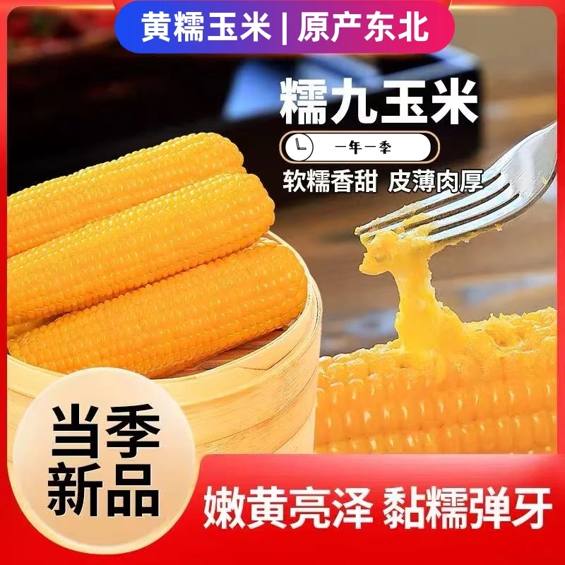 【到手12根14根可选】东北头茬黄糯玉米真空装新鲜单根180g-220g/根