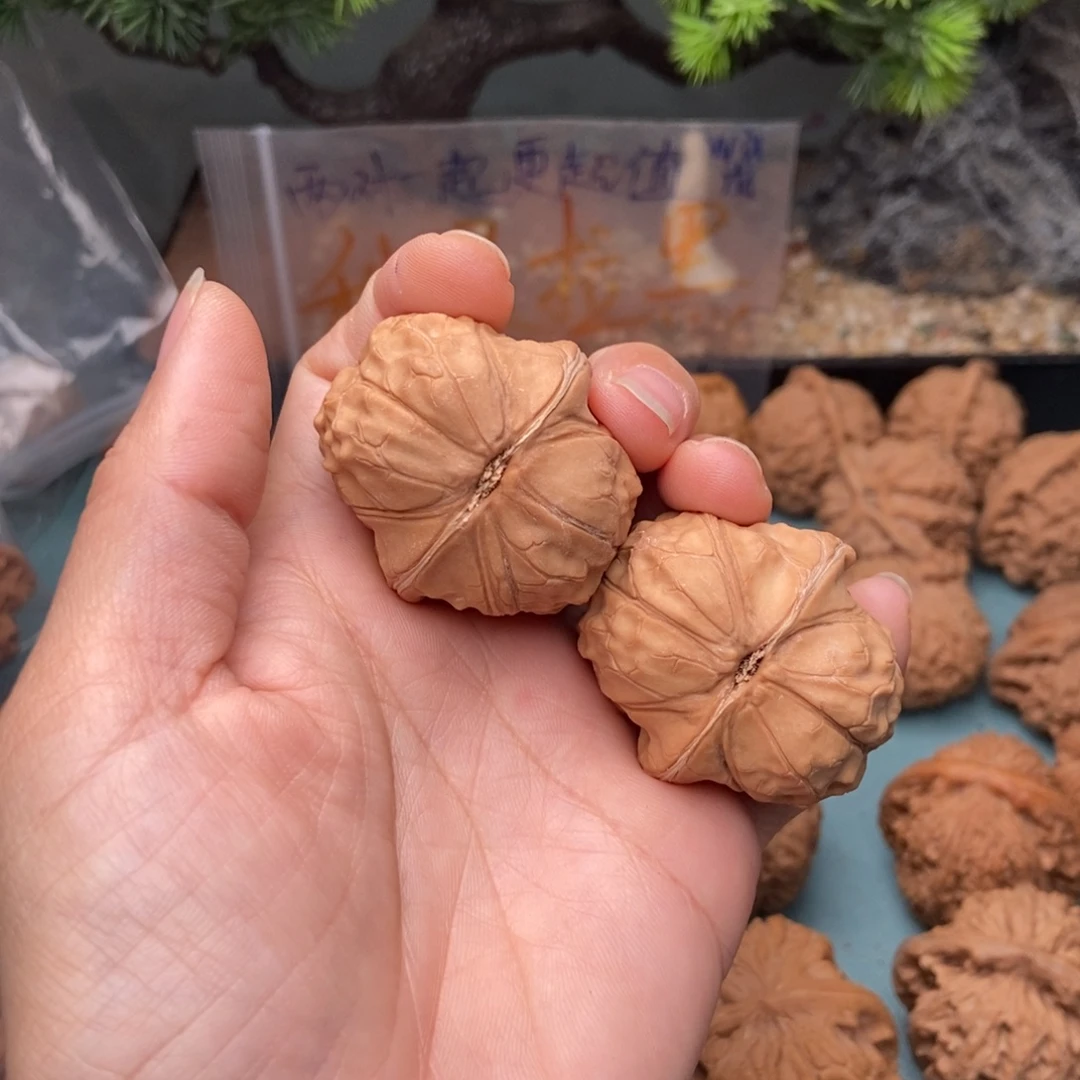 狡***兔文玩核桃把件龟甲纹66