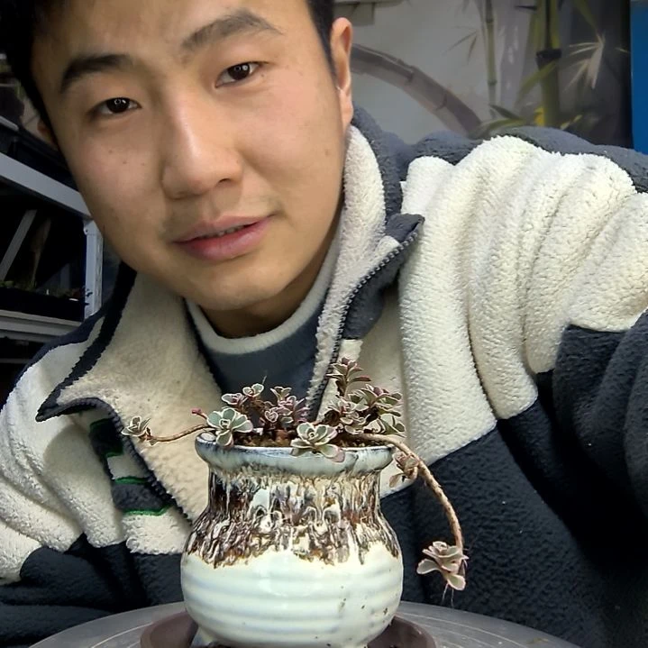 小***豆中青园艺一物一拍花153