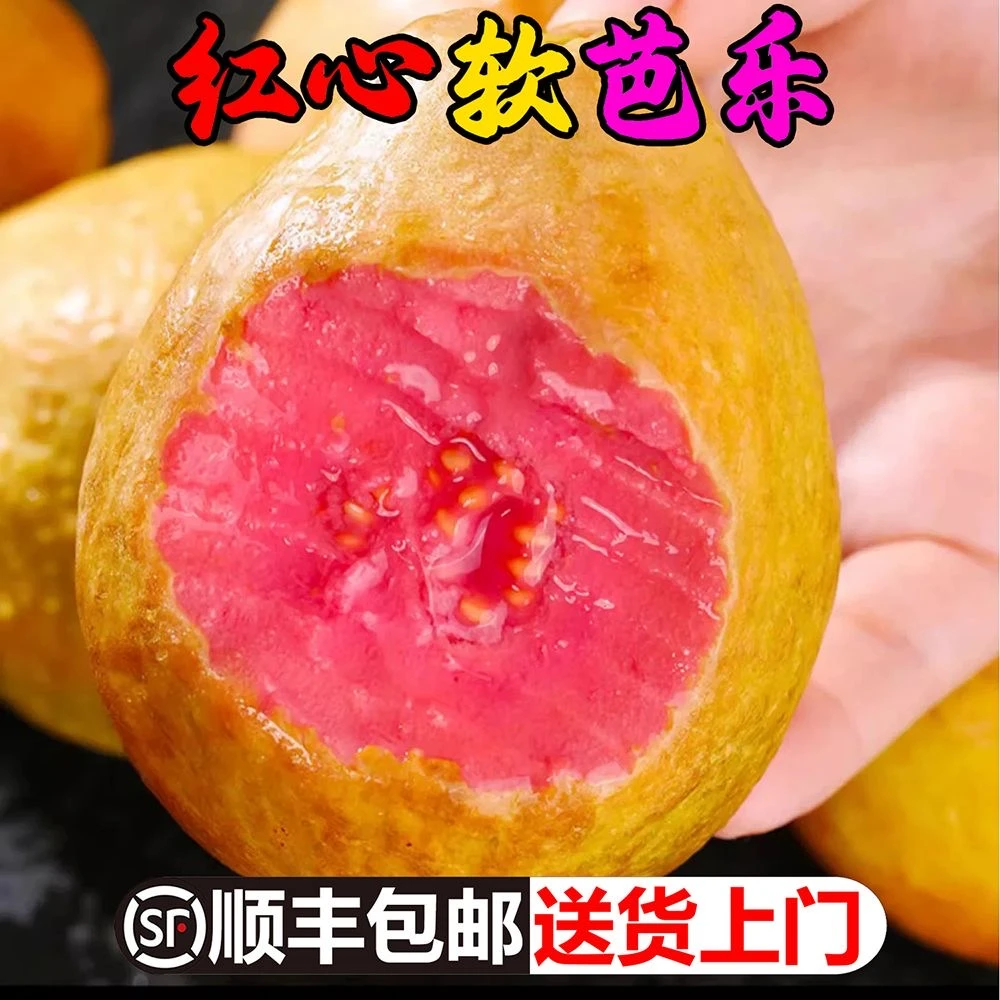 【顺丰助农】福建树熟软心红心芭乐软糯奶油白心番石榴水果净3/5斤