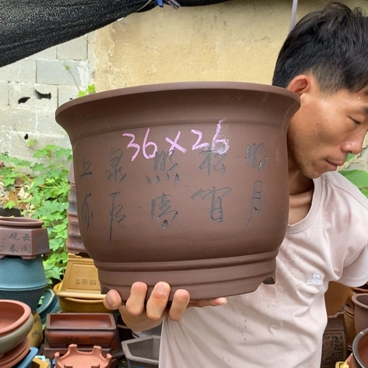 花盆紫砂没有任何关系？！？！？？！？