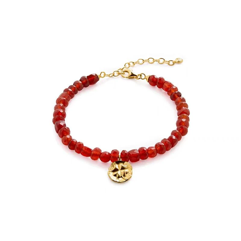 【16-20cm】摩瑟DP【红珠金色四叶草手圈】LKDF花瓶摆件玻璃花盆SS