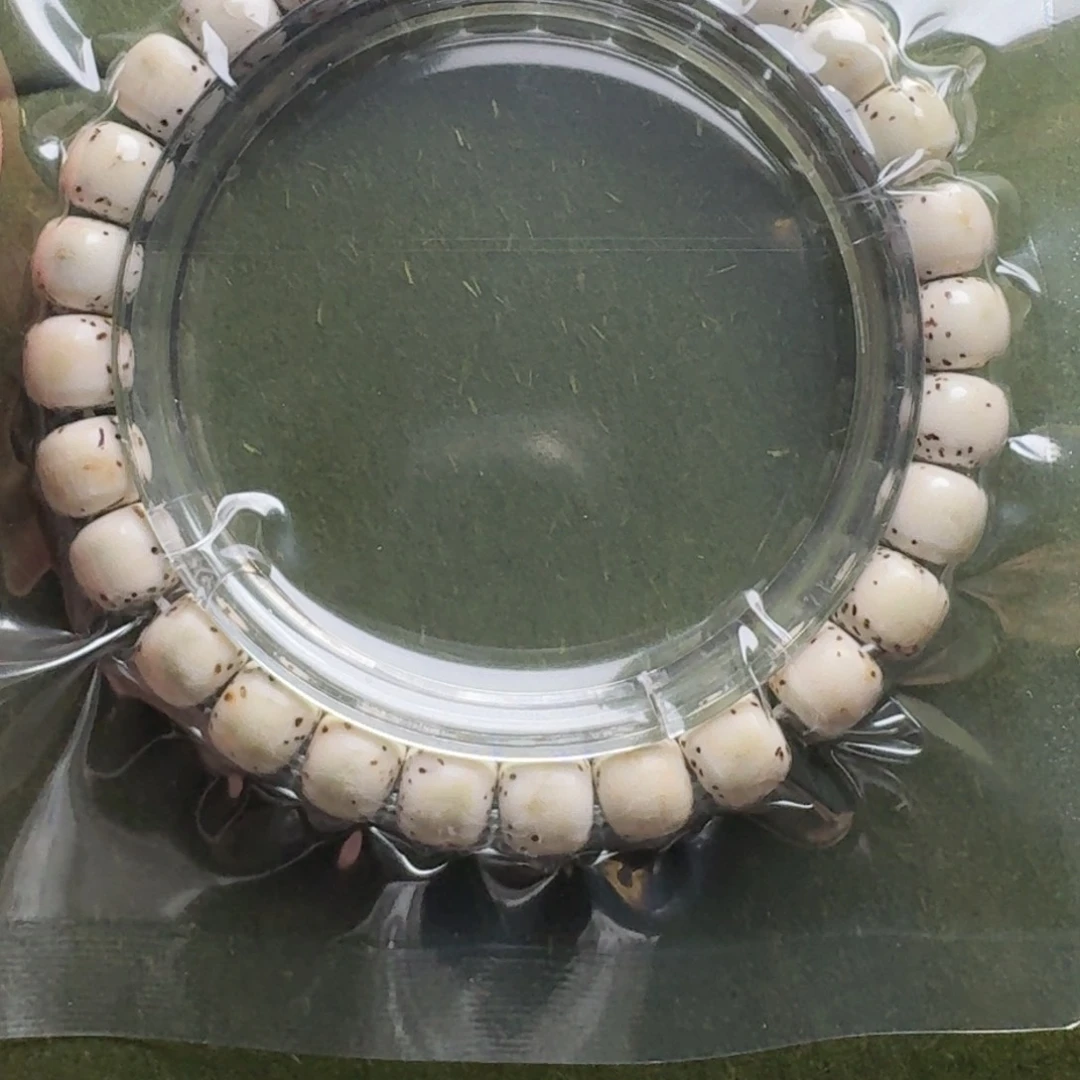 星月菩提吊坠8尺寸河豚大留白