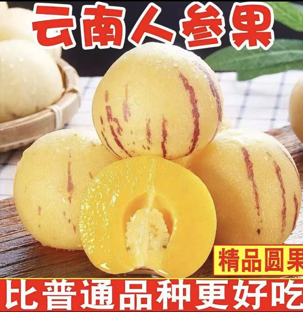 云南人参果圆果黄肉树上自然成熟当季新鲜清甜水果 白果放两天