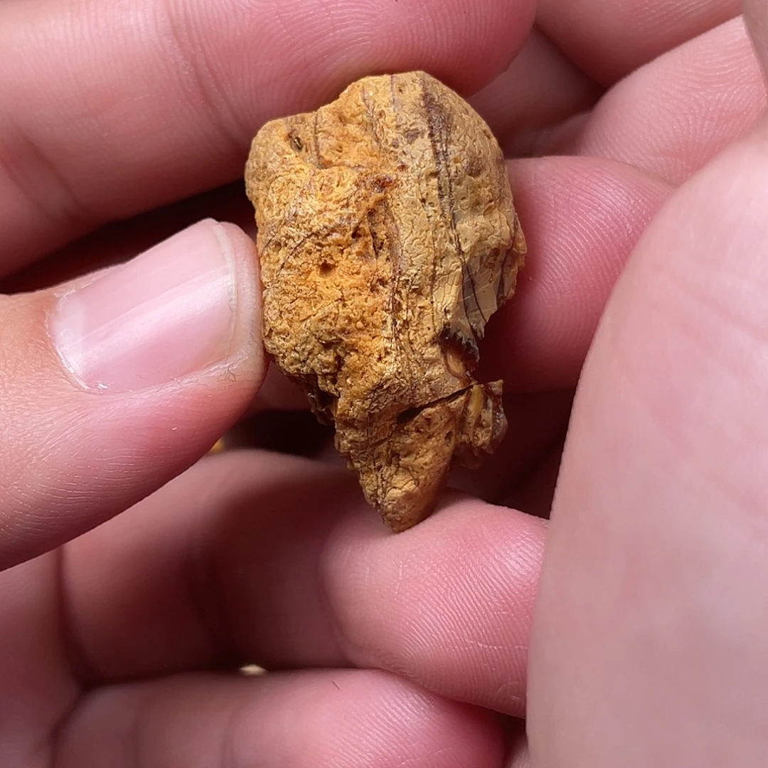 乐***蜀定制琥珀蜜蜡原石