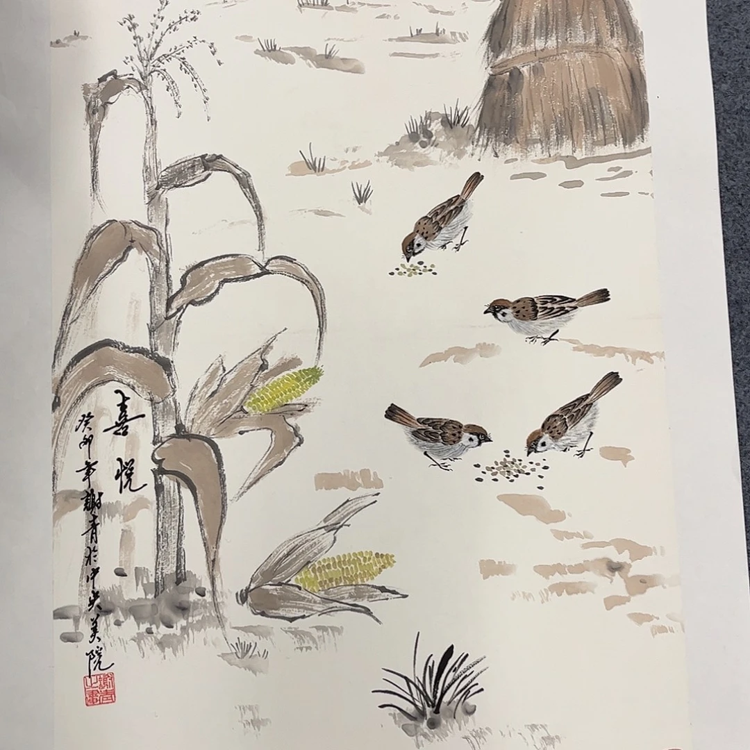我是真的喜欢这个节目