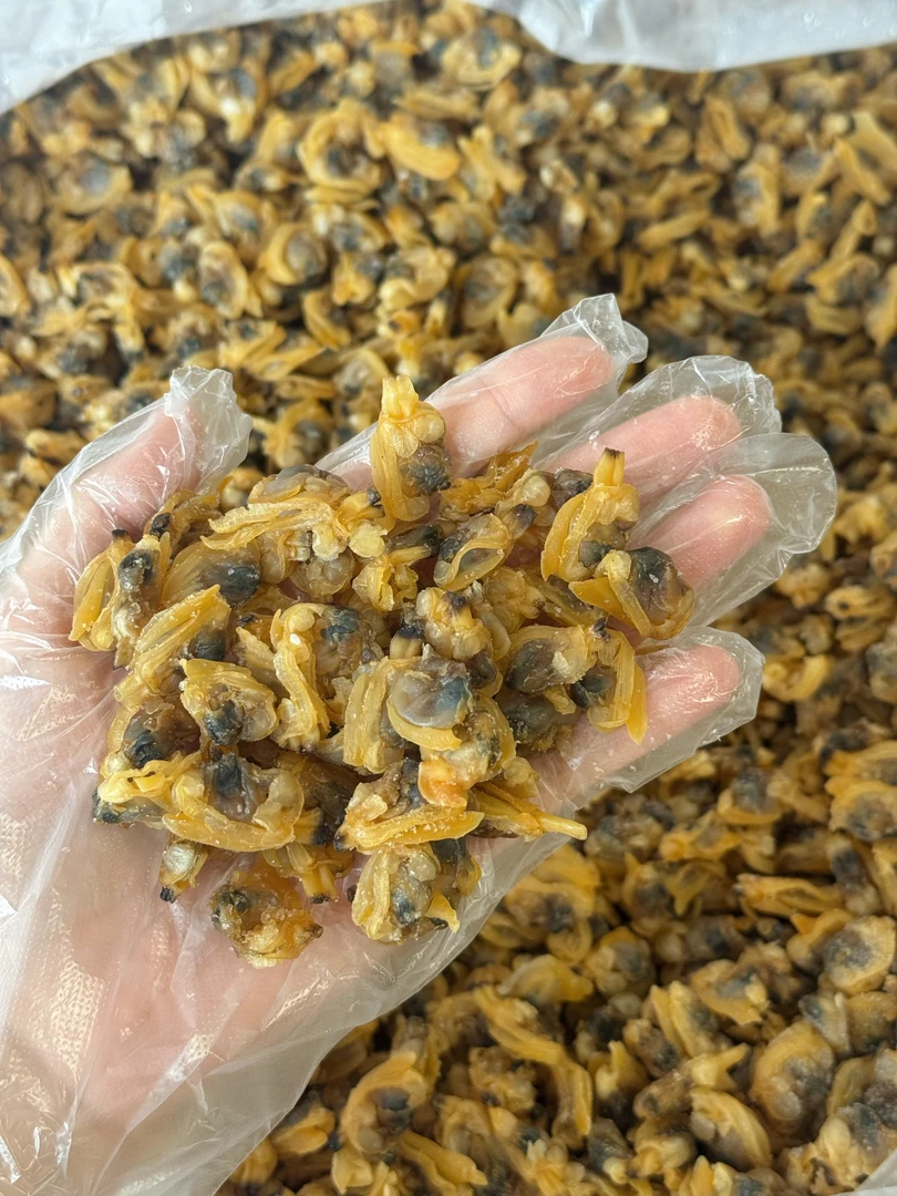 青岛蛤蜊肉干 鲜甜好吃 不碜牙
