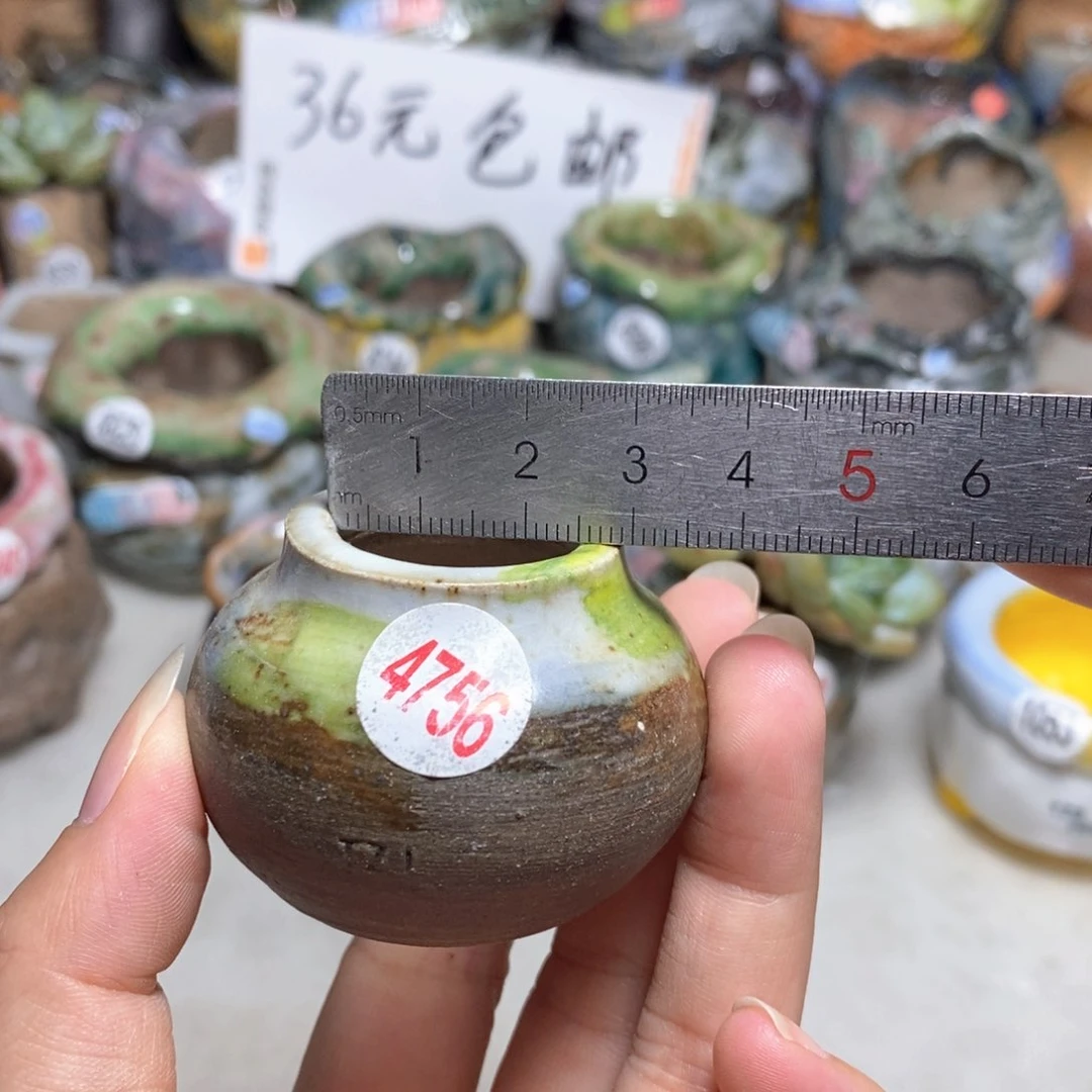 拍5送一个小礼物