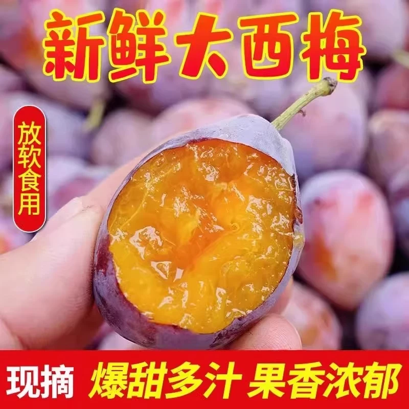 西梅新鲜水果香甜多汁当季水果应季西梅新货速发整箱包邮111