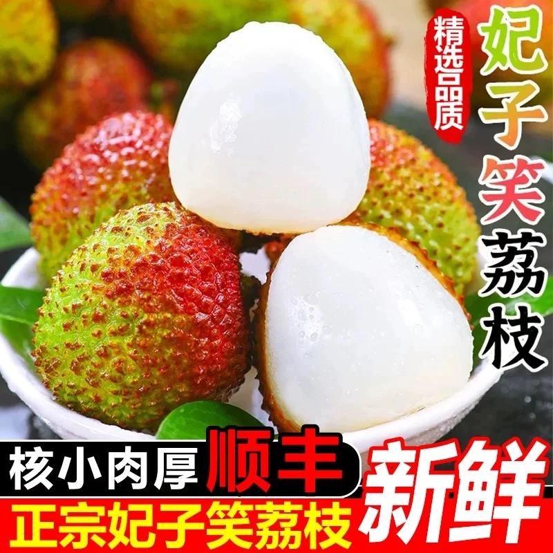 妃子笑荔枝鲜果 顺丰冷链 肉厚核小汁多 净重4.5斤