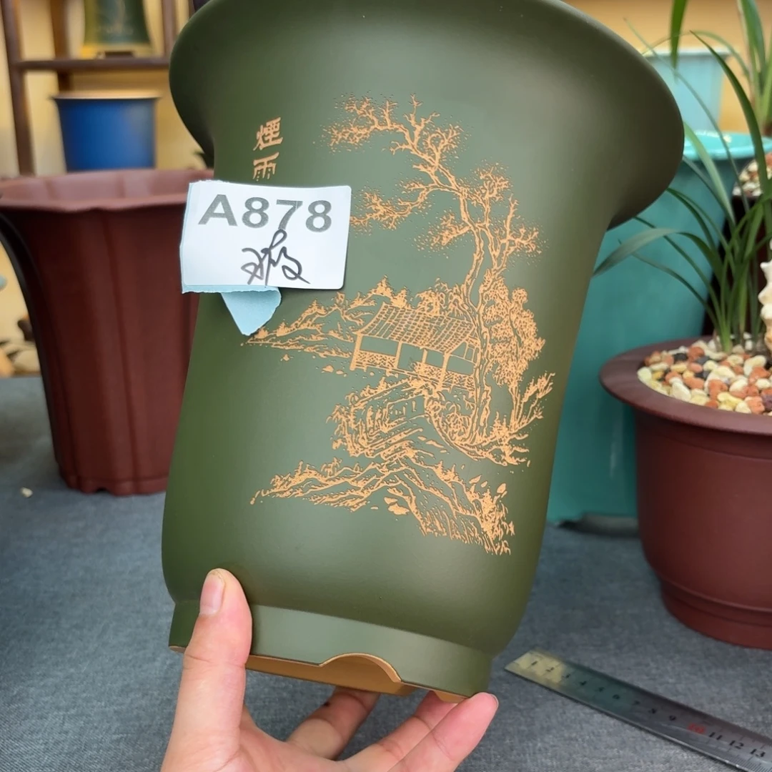 花盆紫砂兰花55585588588898