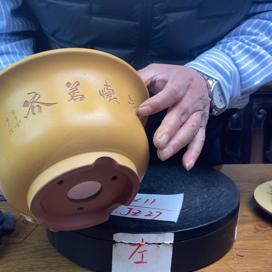 红陶货号一只JZ27