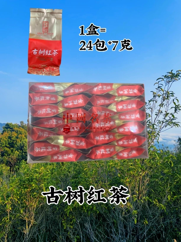 古树红茶小包装24包