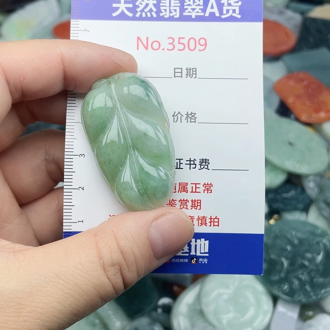 翡翠未镶嵌挂件3509