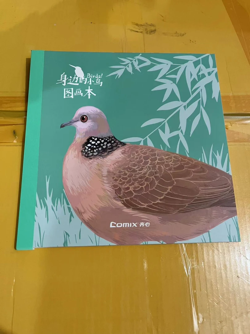 身边的小鸟图画本