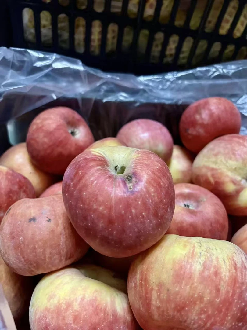 陕西秦脆苹果高检果，瑕疵果，不影响口感，介意勿拍