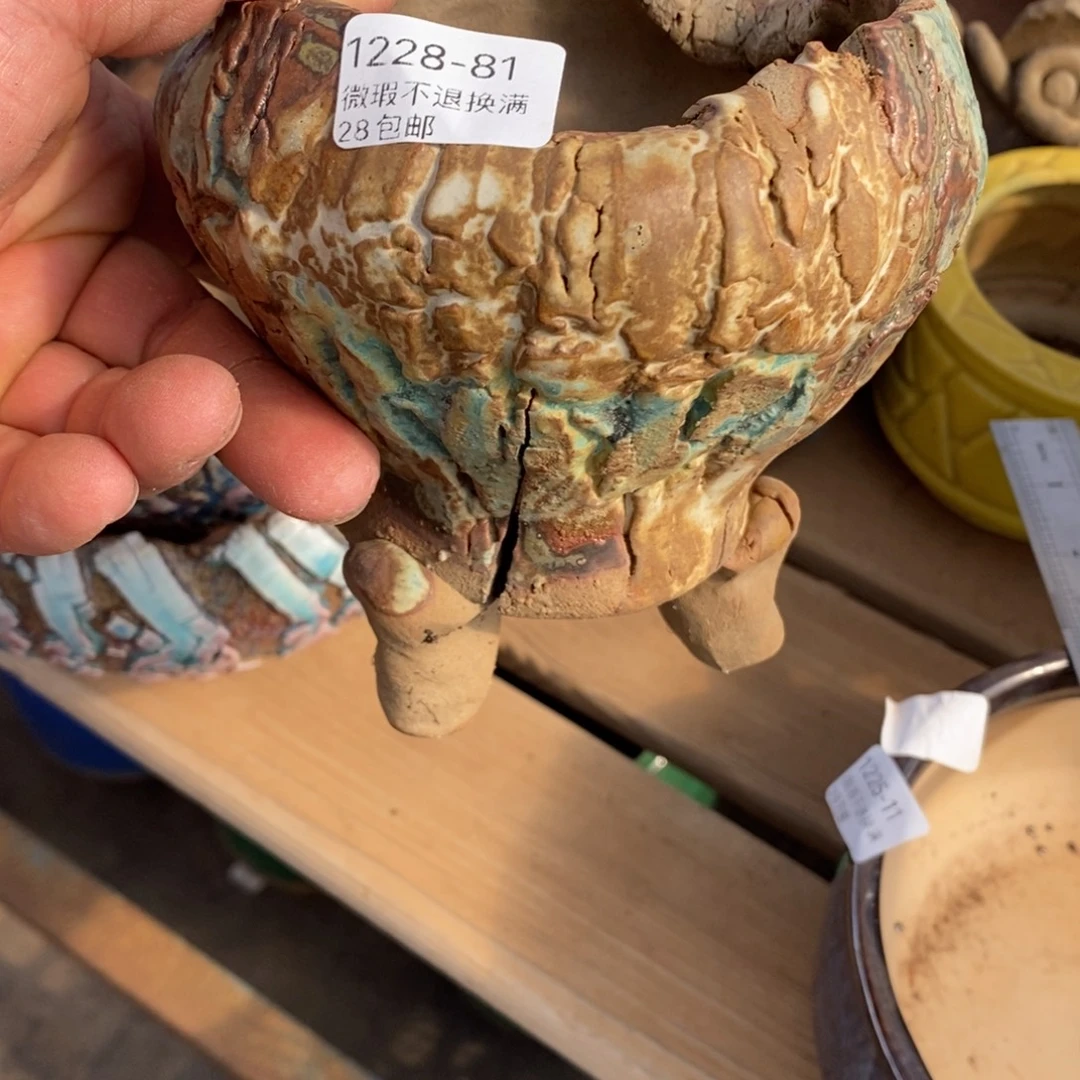 81号花盆内10高12窑裂