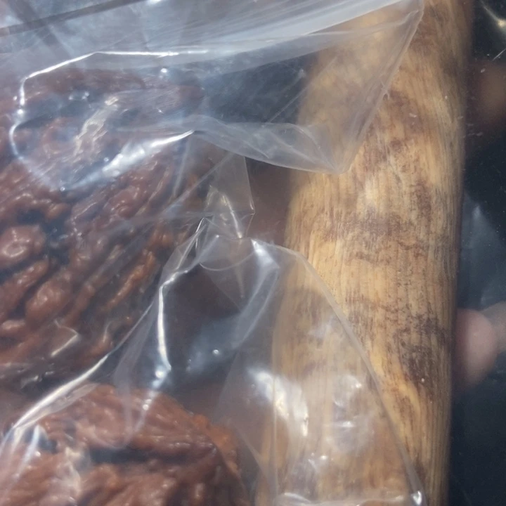 把件文玩核桃?****东北楸子小雪69