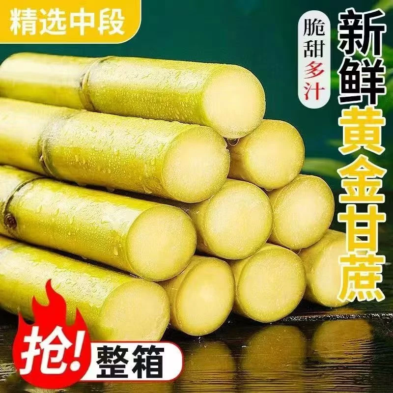 【爆甜】正宗云南黄金甘蔗当季新鲜手撕黄皮甘蔗水果脆甜多汁 B