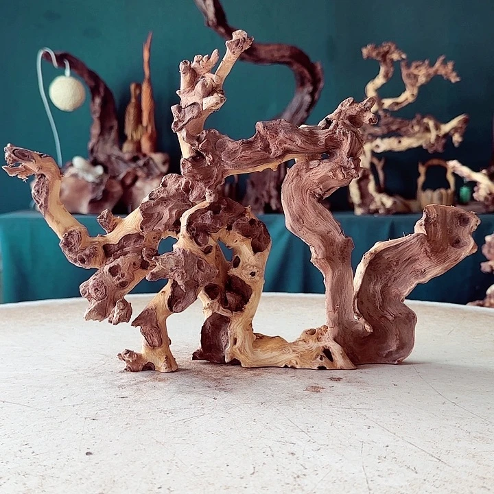 G***U木915 金丝红木羊蹄甲半成品