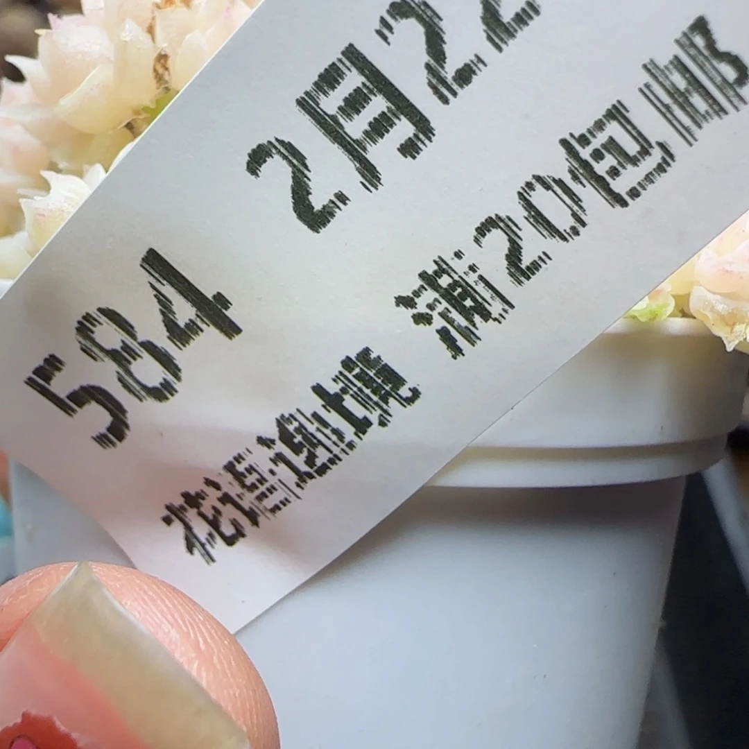 糖*儿花语逸境0222-584散