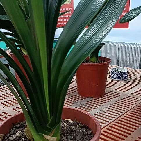 小***楼