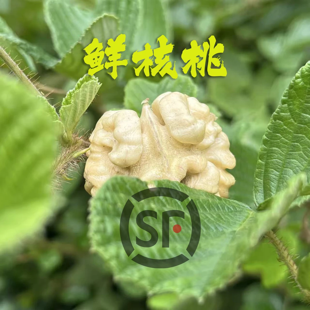 云南老树新鲜湿核桃去青皮薄皮油香脆嫩老人小孩孕妇零食顺丰包邮