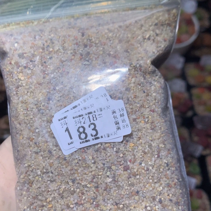 精品生石花218.183