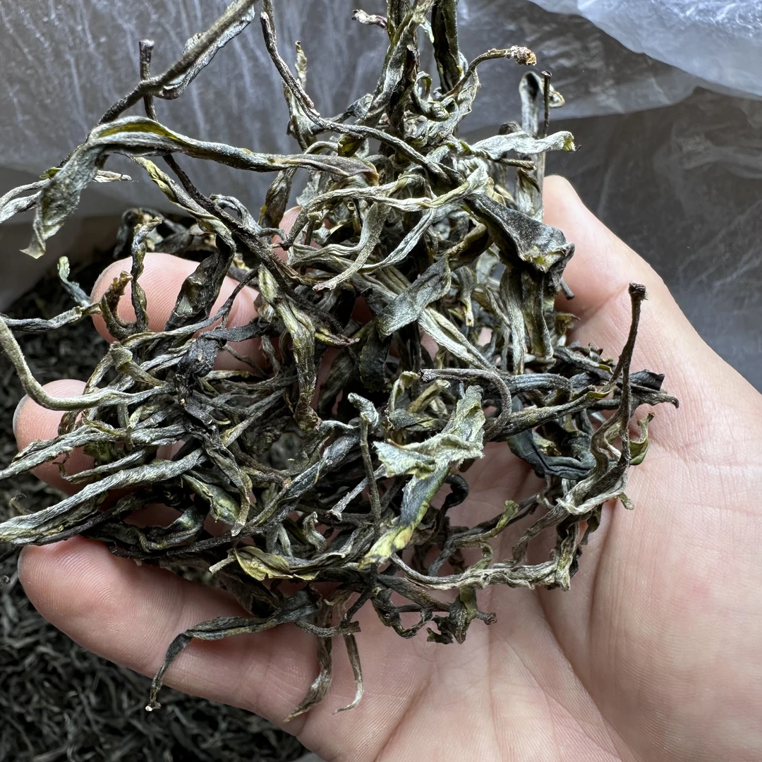 哀牢山【哀牢秘境】散茶 2025年春古树茶 哀牢山高山茶