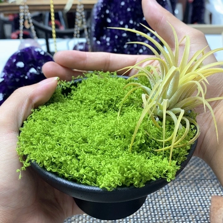 大型摆件（非配饰）未镶嵌水晶
