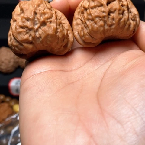 文玩核桃蛤膜头尺寸40