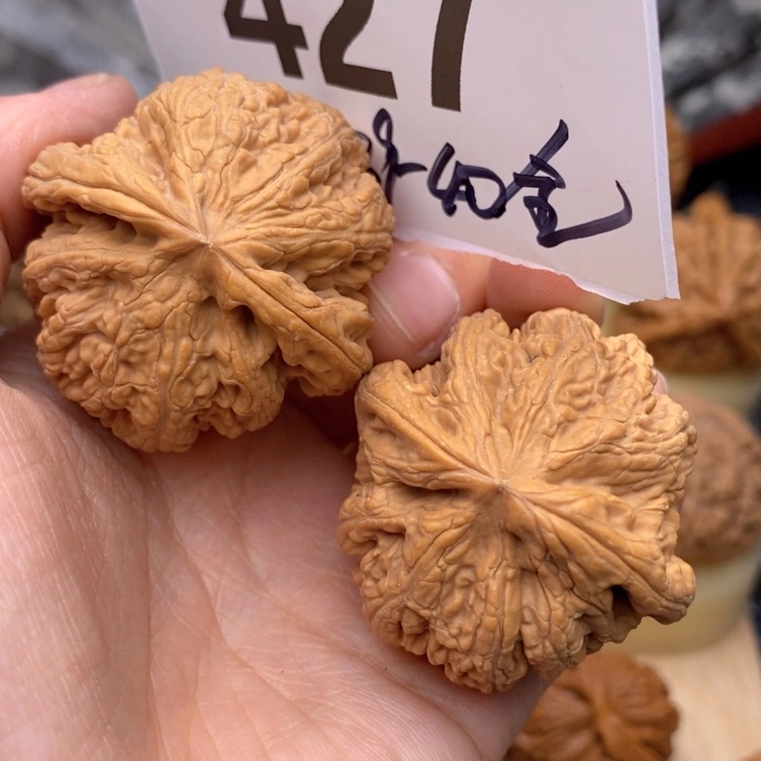 文玩核桃把件427高39粗筋全