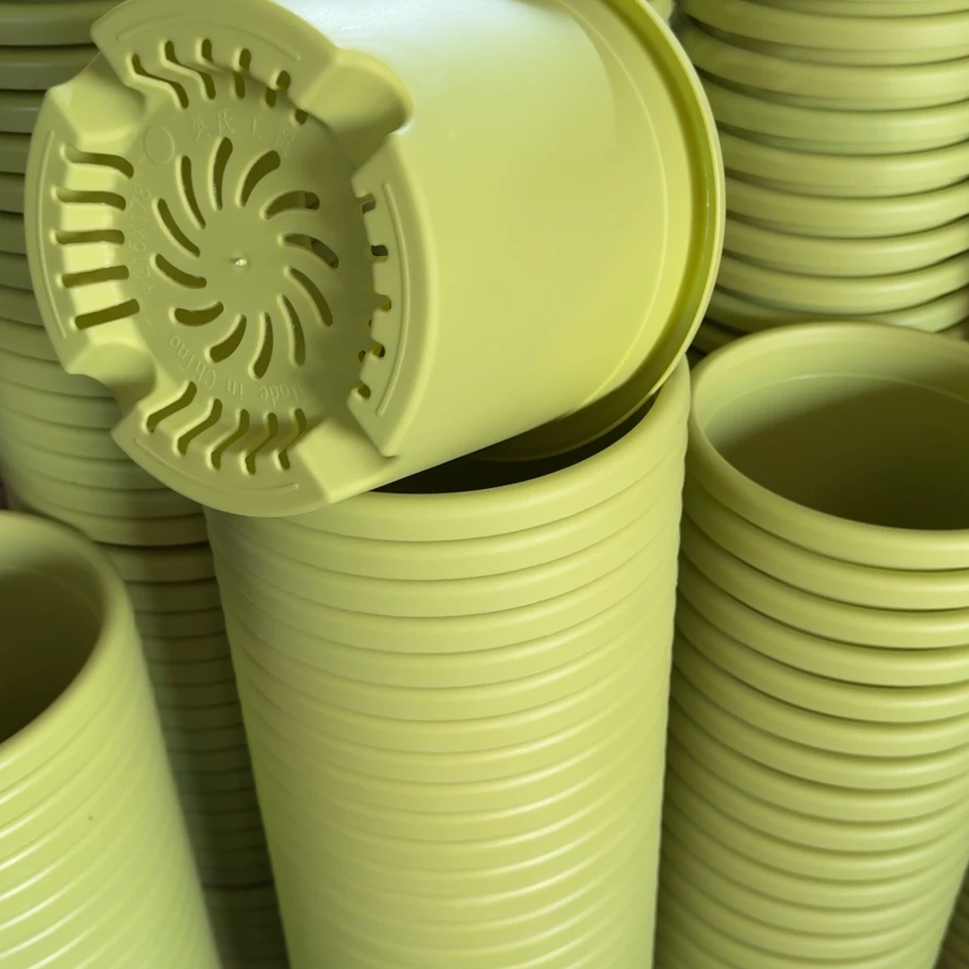 四季3号5个果绿色的