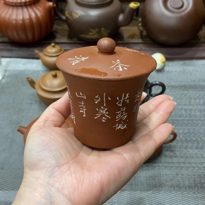 风***v茶壶紫砂宜兴紫砂
