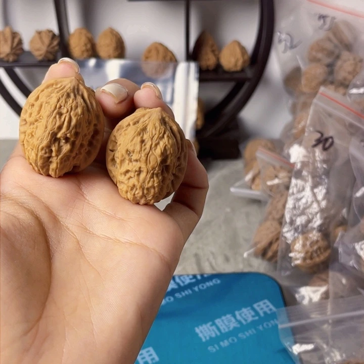 随**影赤龙鸡心一点点磕尖