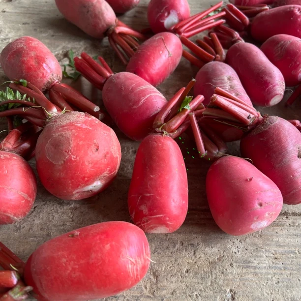 【红萝卜】湖南湘西农家红皮萝卜